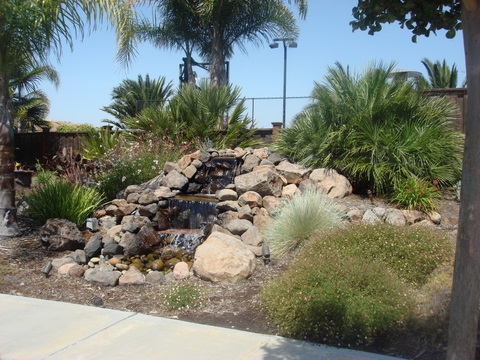 pic7